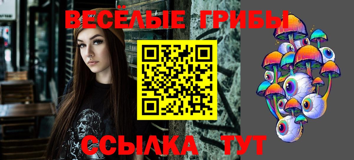 Котовск  Галлюциногенные грибы мухоморы  Вход с VPN 